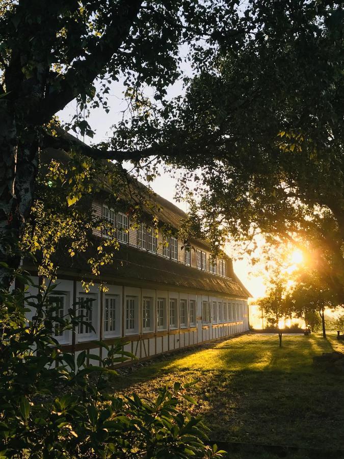 Hof Norderlueck - Das Ostseehotel Unter Reet ساينبرغ المظهر الخارجي الصورة